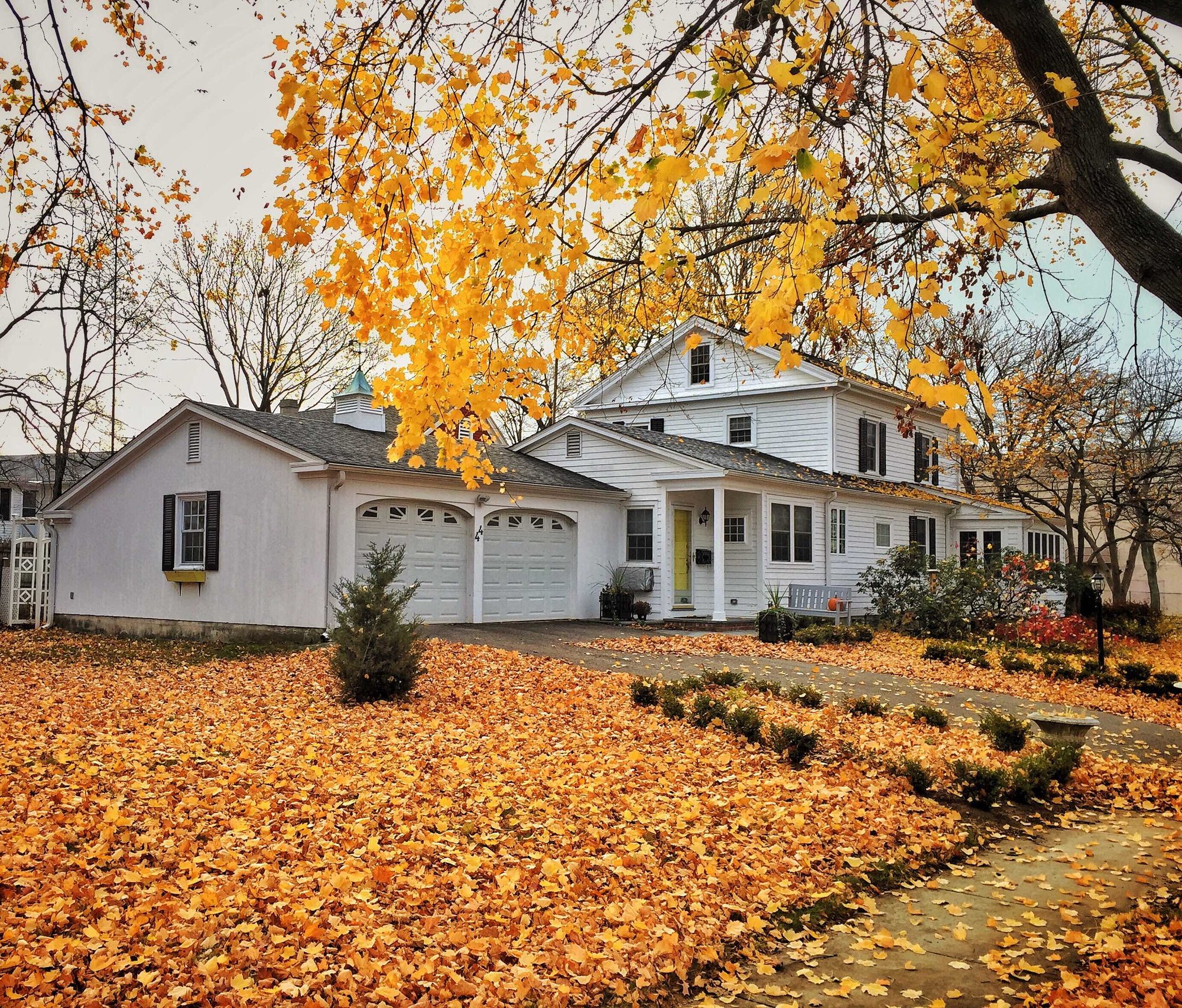 reasons to buy a home in fall in nyc
